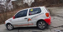 Testy Steinhofa i Stakowskiego